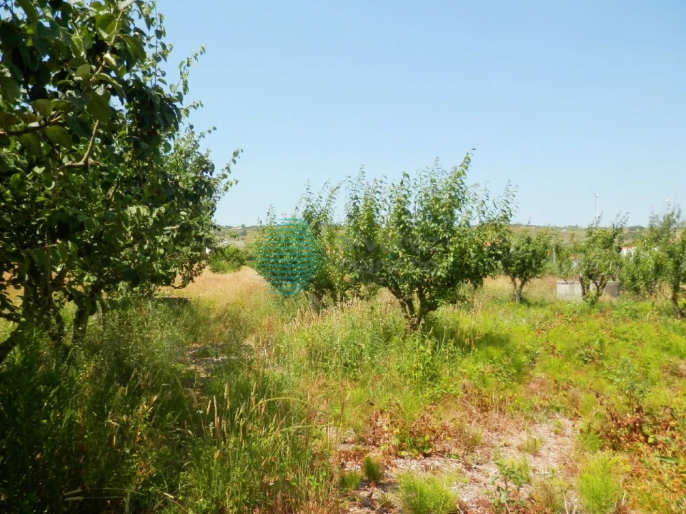 Terreno para Venda em Turcifal Foto 10