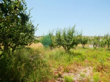 Terreno para Venda em Turcifal
