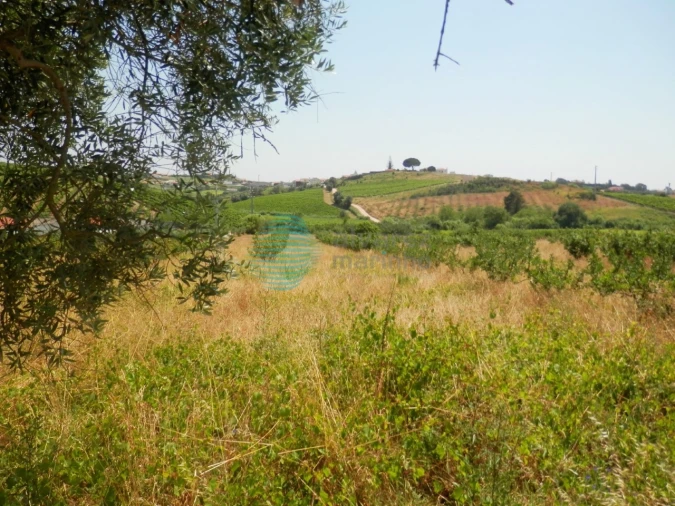 Terreno para Venda em Turcifal Foto 2