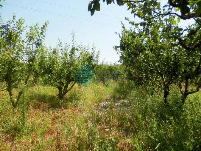Terreno para Venda em Turcifal Foto 7