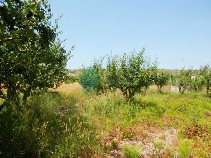 Terreno para Venda em Turcifal Foto 10