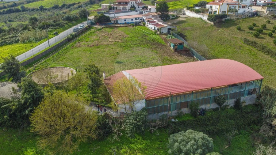 Armazém para Venda em Arruda dos Vinhos Foto 3