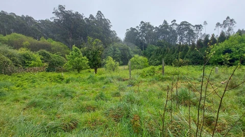 Moradia T3 para Venda em Ovar, São João, Arada e São Vicente de Pereira Jusã
