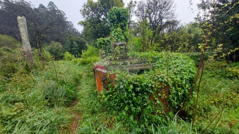 Moradia T3 para Venda em Ovar, São João, Arada e São Vicente de Pereira Jusã
