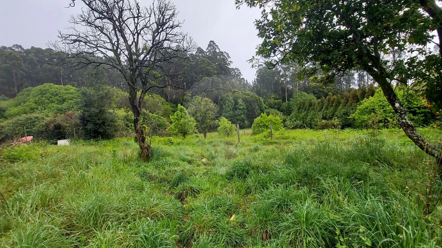 Moradia T3 para Venda em Ovar, São João, Arada e São Vicente de Pereira Jusã Foto 6
