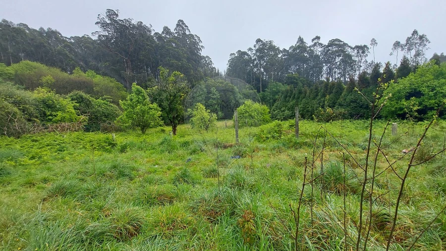 Moradia T3 para Venda em Ovar, São João, Arada e São Vicente de Pereira Jusã Foto 9