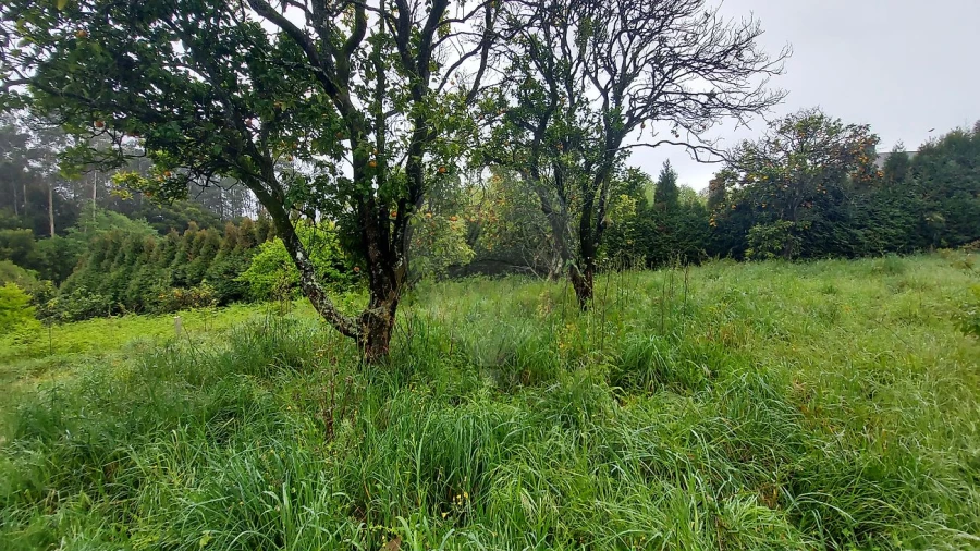 Moradia T3 para Venda em Ovar, São João, Arada e São Vicente de Pereira Jusã Foto 7