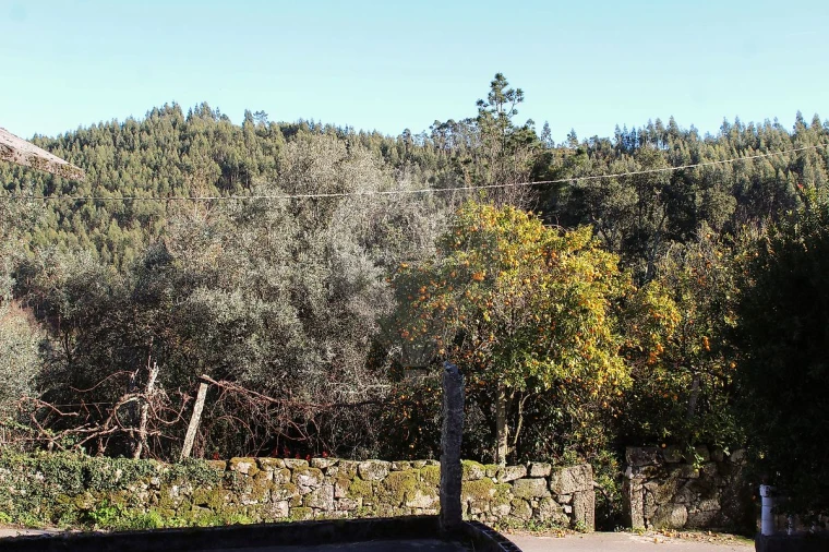 Moradia T1 para Venda em Talhadas Foto 17