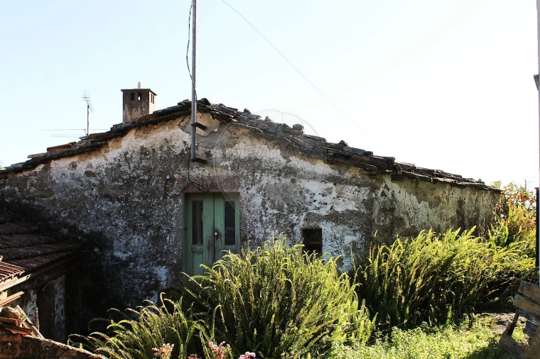 Moradia T1 para Venda em Talhadas Foto 8