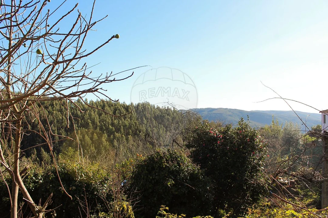 Moradia T1 para Venda em Talhadas Foto 18