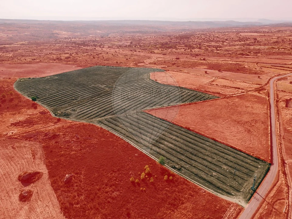 Moradia T10 para Venda em Escalhão Foto 13