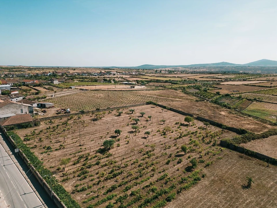 Moradia T10 para Venda em Escalhão Foto 11