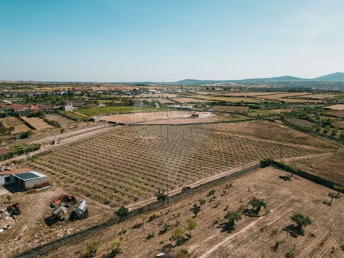 Moradia T10 para Venda em Escalhão Foto 10