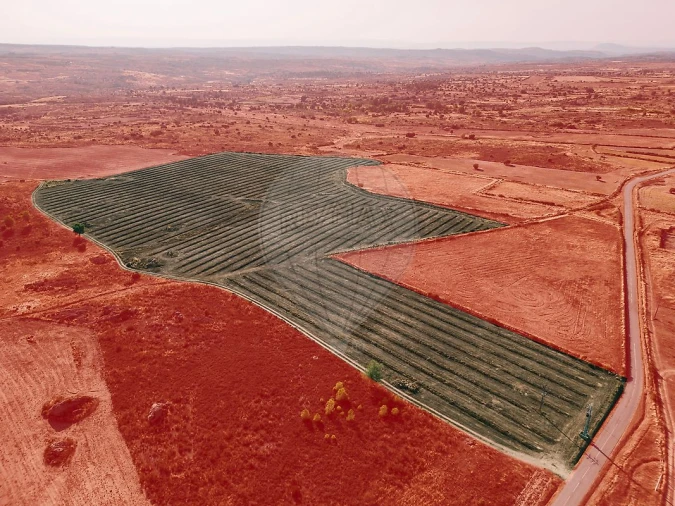 Moradia T10 para Venda em Escalhão Foto 13