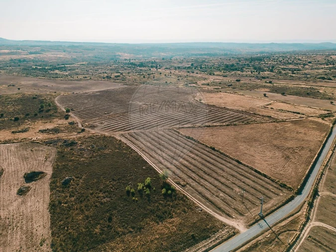 Moradia T10 para Venda em Escalhão Foto 12