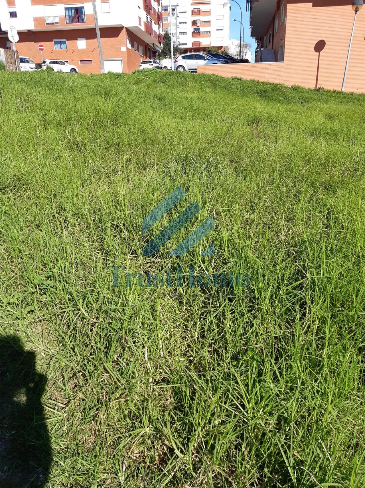 Terreno para Venda em Mina de Água Foto 16