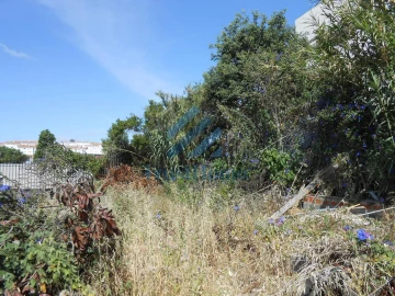Terreno para Venda em Ajuda