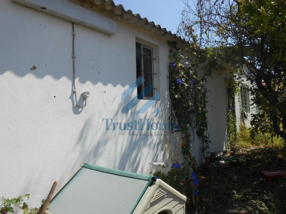 Terreno para Venda em Ajuda Foto 6