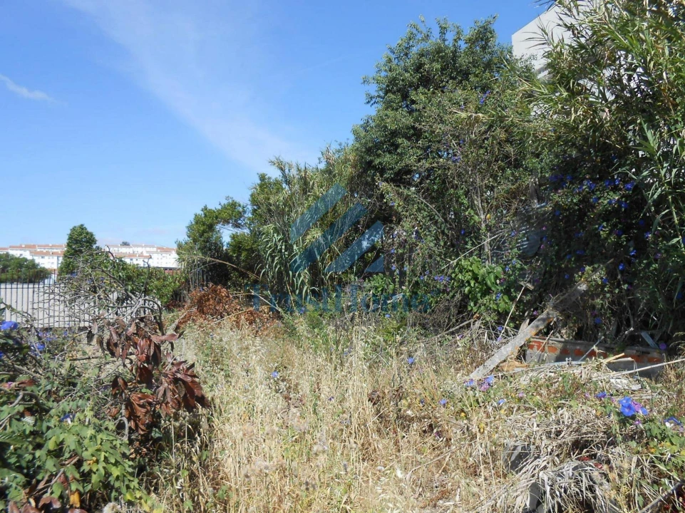 Terreno para Venda em Ajuda Foto 8