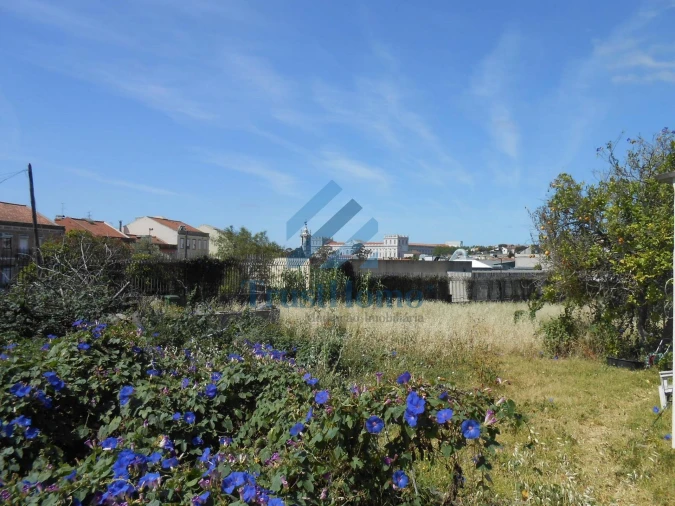 Terreno para Venda em Ajuda Foto 2