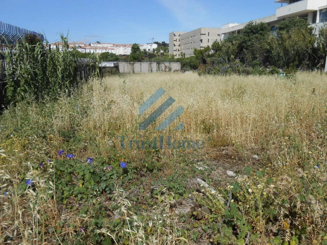 Terreno para Venda em Ajuda Foto 4