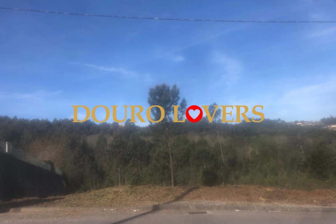 Terreno para Venda em Santa Marinha e São Pedro da Afurada Foto 1