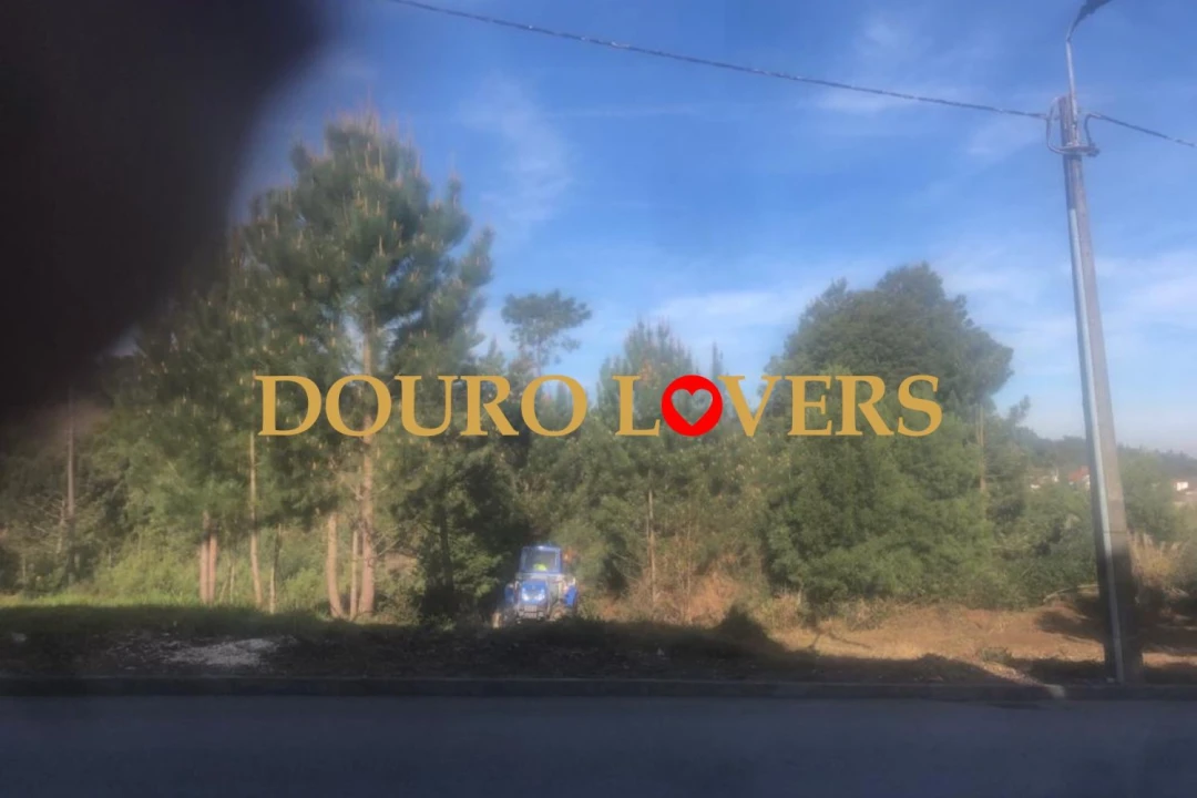 Terreno para Venda em Santa Marinha e São Pedro da Afurada Foto 5