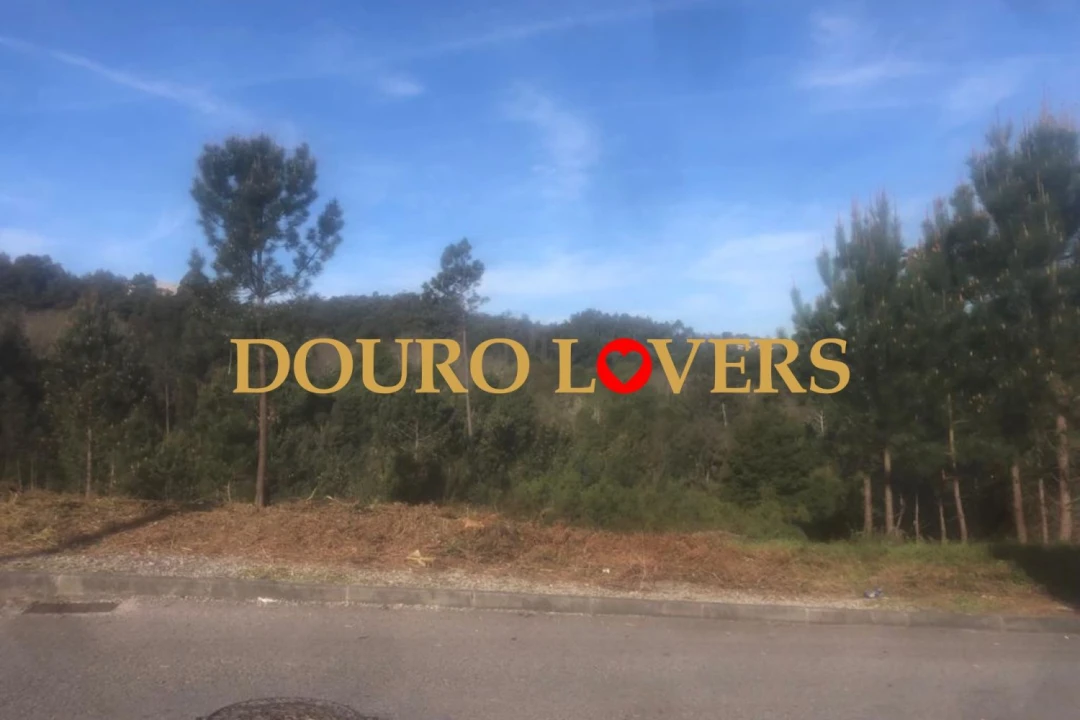 Terreno para Venda em Santa Marinha e São Pedro da Afurada Foto 6