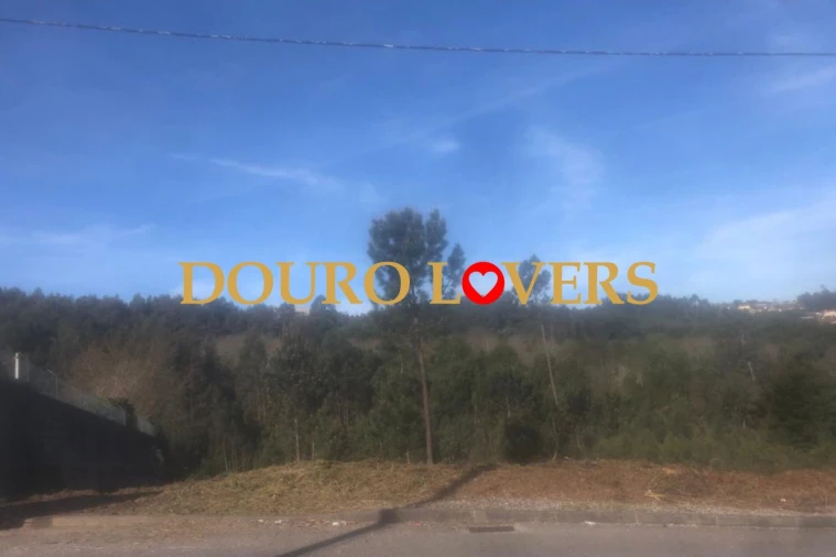 Terreno para Venda em Santa Marinha e São Pedro da Afurada