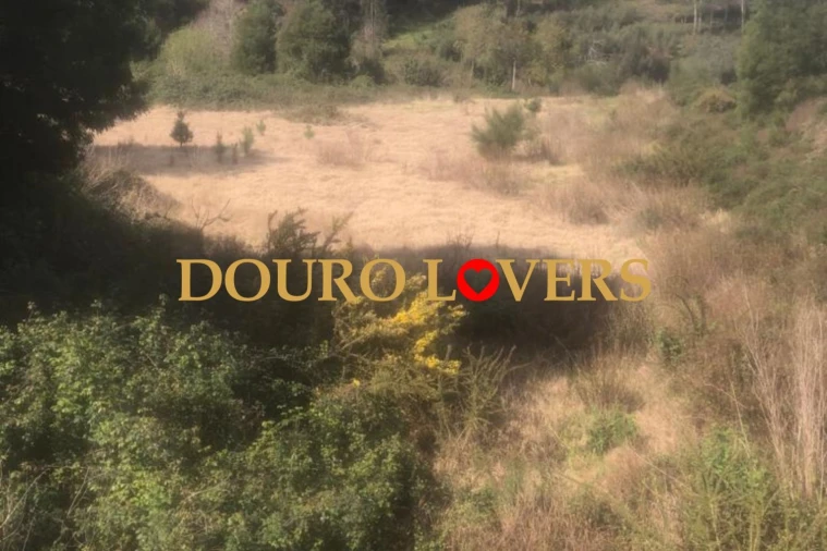 Terreno para Venda em Santa Marinha e São Pedro da Afurada Foto 2