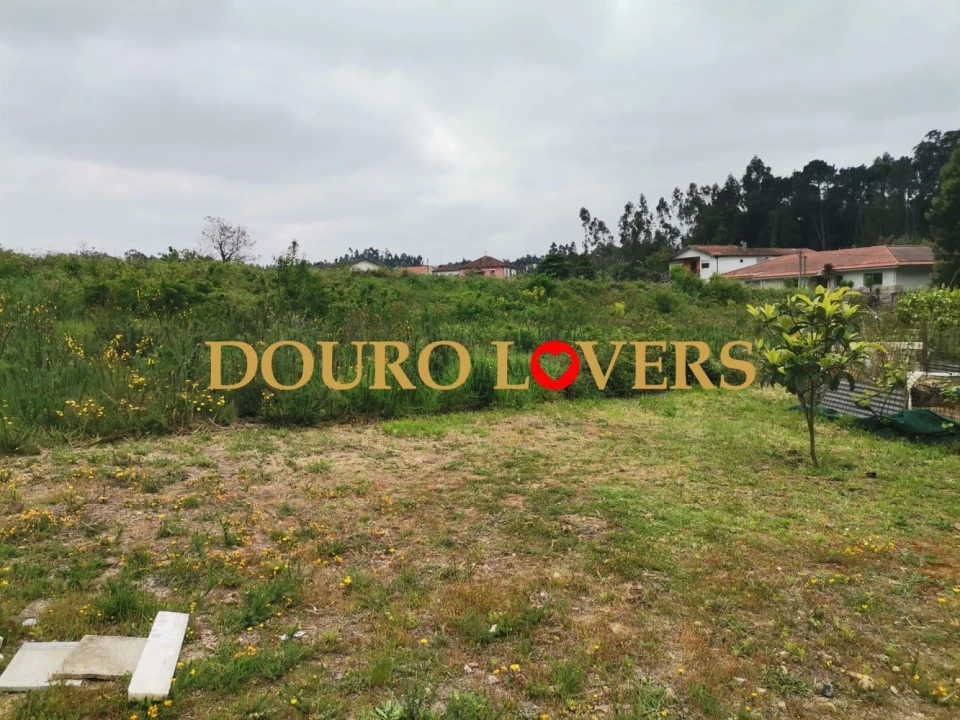 Terreno para Venda em Santa Maria da Feira, Travanca, Sanfins e Espargo Foto 3