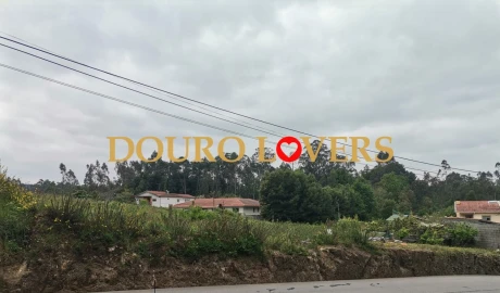 Terreno para Venda em Santa Maria da Feira, Travanca, Sanfins e Espargo