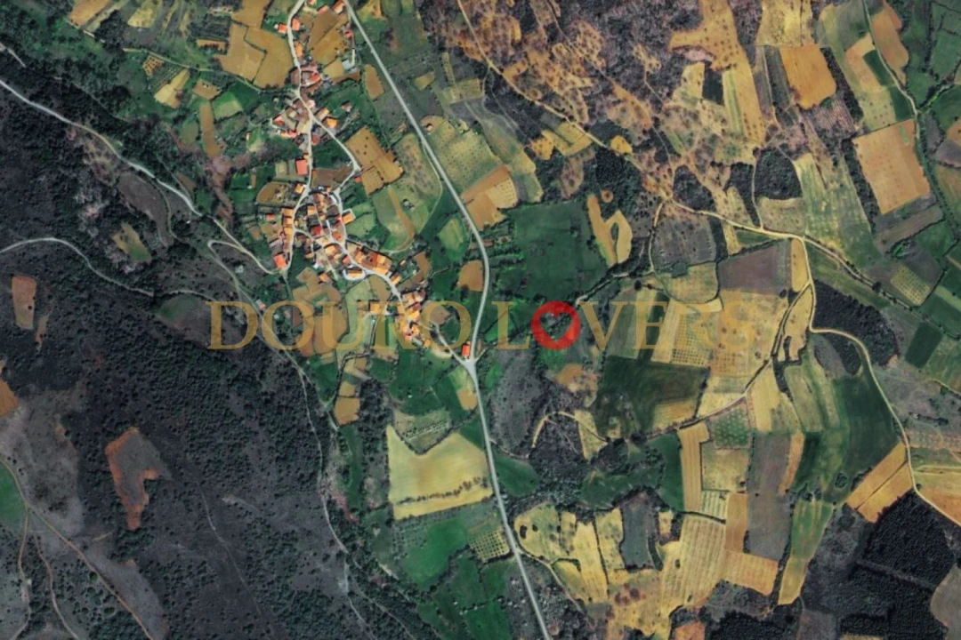 Terreno Agricola ou Rústico para Venda em Castrelos e Carrazedo Foto 7