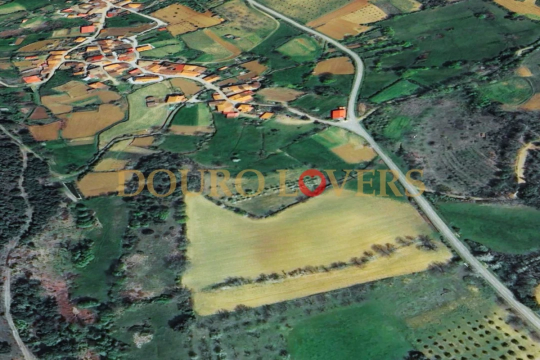 Terreno Agricola ou Rústico para Venda em Castrelos e Carrazedo Foto 2