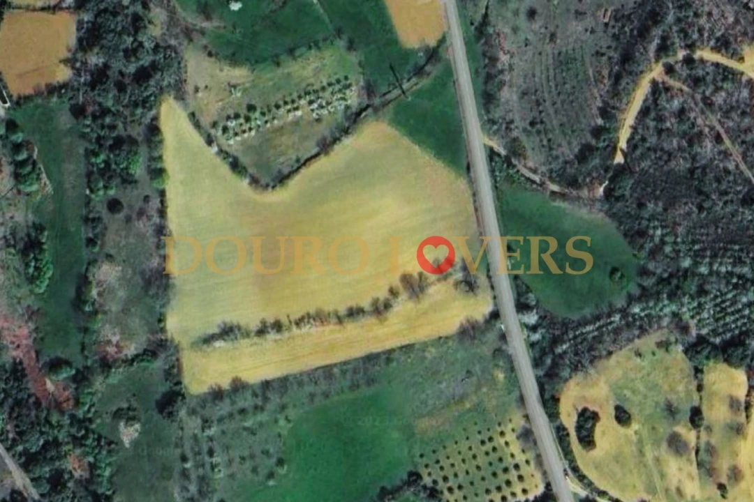 Terreno Agricola ou Rústico para Venda em Castrelos e Carrazedo Foto 6