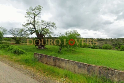 Terreno Agricola ou Rústico para Venda em Castrelos e Carrazedo