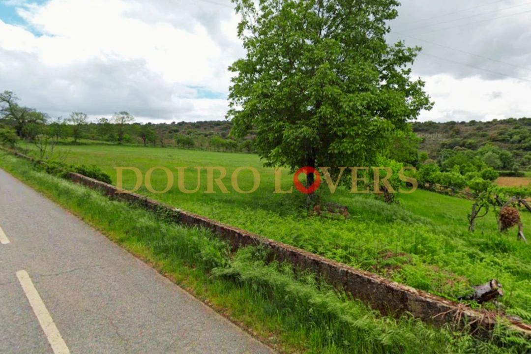 Terreno Agricola ou Rústico para Venda em Castrelos e Carrazedo Foto 5