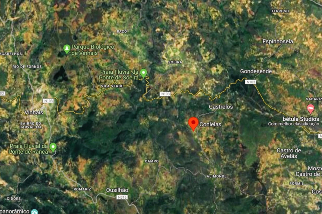 Terreno Agricola ou Rústico para Venda em Castrelos e Carrazedo Foto 9
