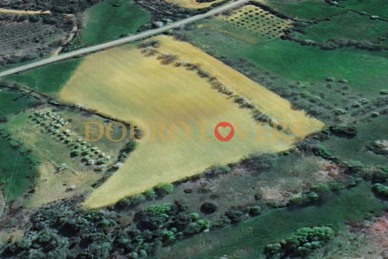 Terreno Agricola ou Rústico para Venda em Castrelos e Carrazedo Foto 2