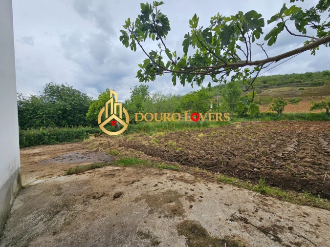 Moradia T3 para Venda em Castrelos e Carrazedo Foto 44