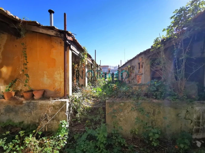 Moradia T4 para Venda em Póvoa de Varzim, Beiriz e Argivai Foto 39