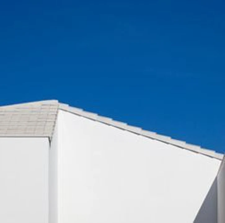 Terreno Agricola ou Rústico para Venda em Ponte de Sor, Tramaga e Vale de Açor Foto 5