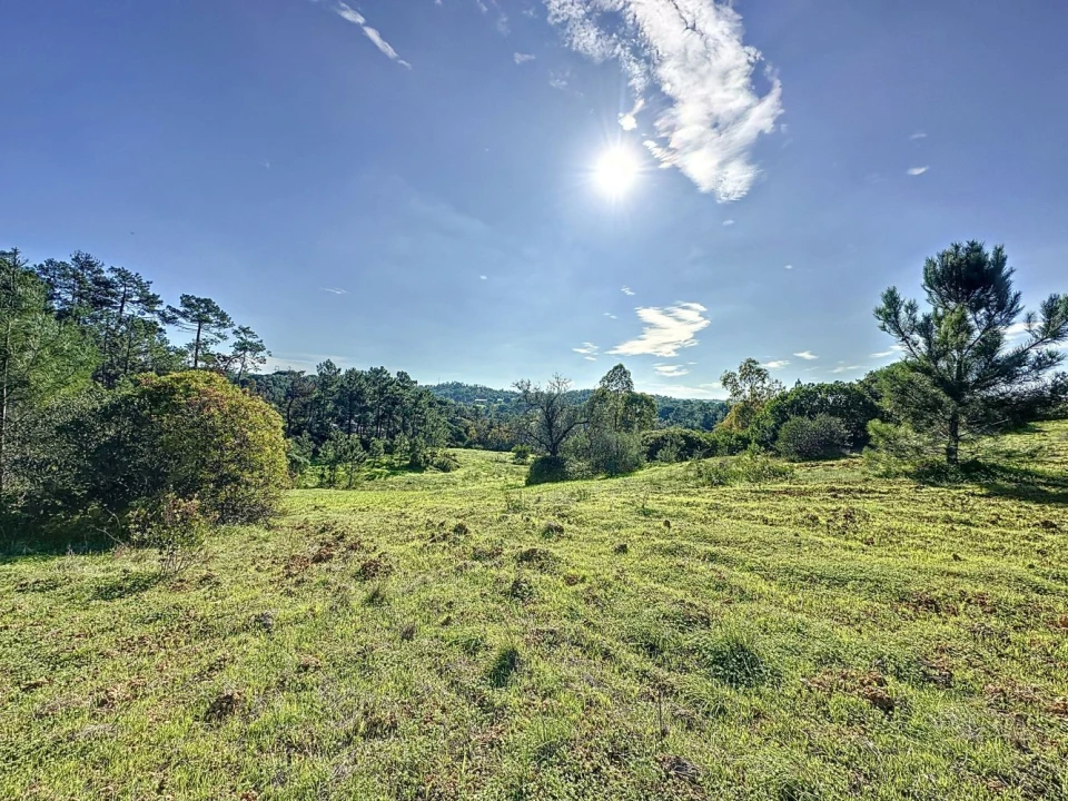 Terreno Agricola ou Rústico para Venda em Sesimbra (Castelo) Foto 6