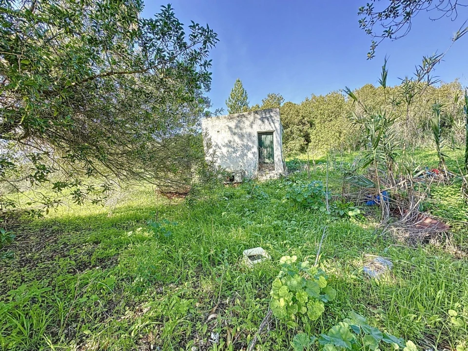 Terreno Agricola ou Rústico para Venda em Sesimbra (Castelo) Foto 9