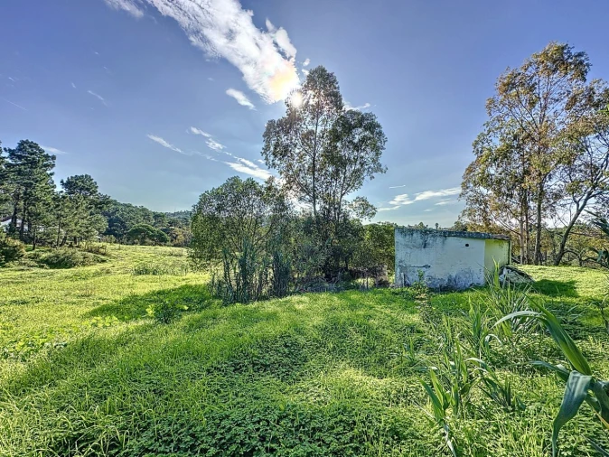 Terreno Agricola ou Rústico para Venda em Sesimbra (Castelo) Foto 10