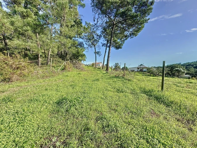 Terreno Agricola ou Rústico para Venda em Sesimbra (Castelo) Foto 12