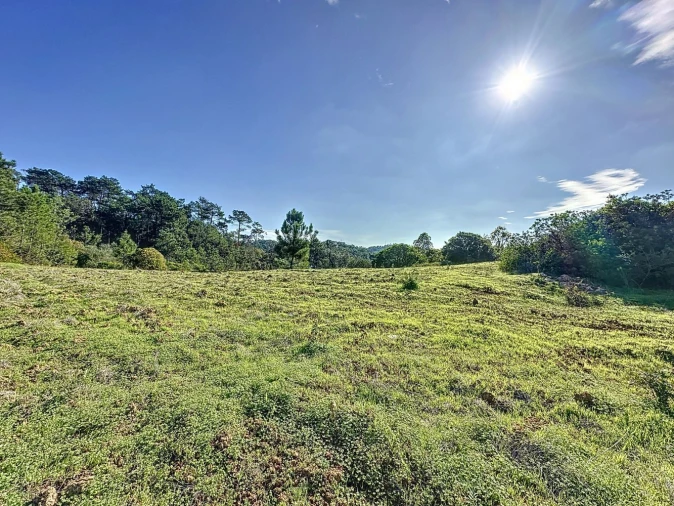 Terreno Agricola ou Rústico para Venda em Sesimbra (Castelo) Foto 2