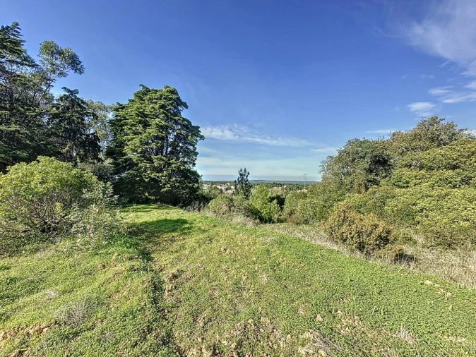 Terreno Agricola ou Rústico para Venda em Sesimbra (Castelo) Foto 3