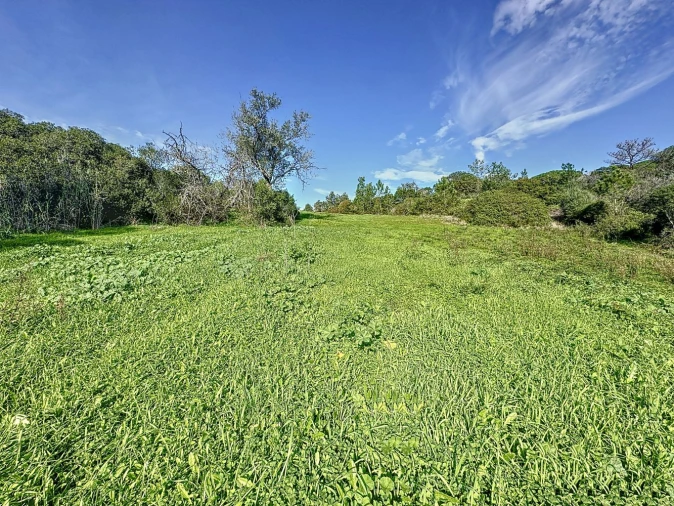 Terreno Agricola ou Rústico para Venda em Sesimbra (Castelo) Foto 7