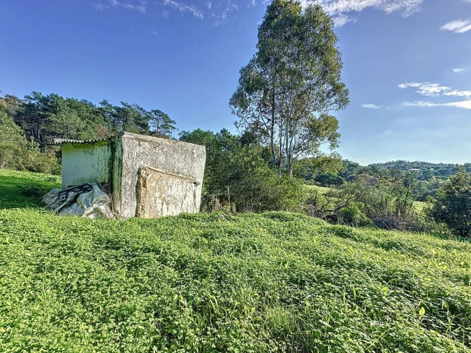Terreno Agricola ou Rústico para Venda em Sesimbra (Castelo) Foto 8